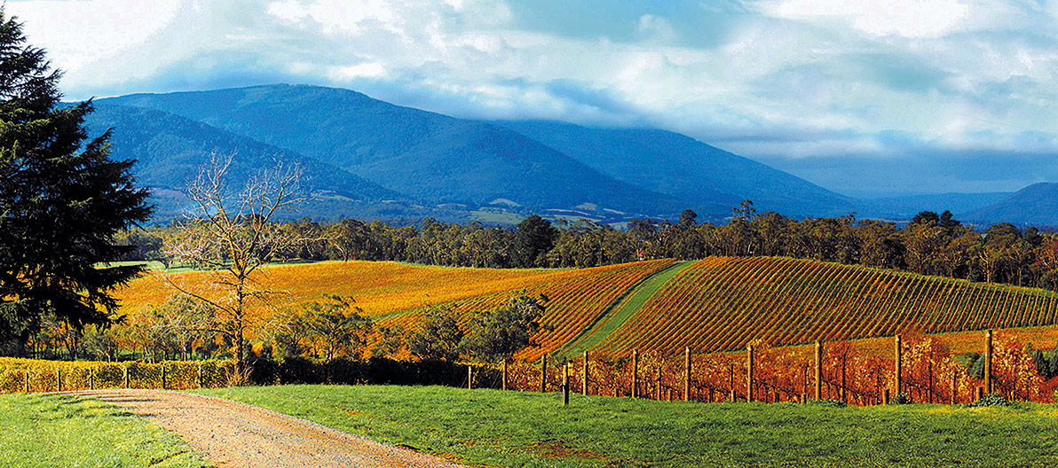 All Things Yarra Valley Gin, Lunch, Wine, Gardens, Pottery, Chocolate